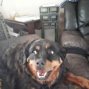 Meet your Posher, Bryan